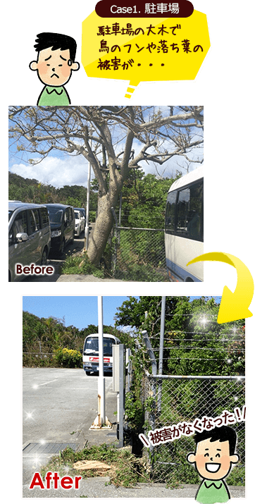 Case1. 駐車場 駐車場の大木で 鳥のフンや落ち葉の 被害が・・・ 